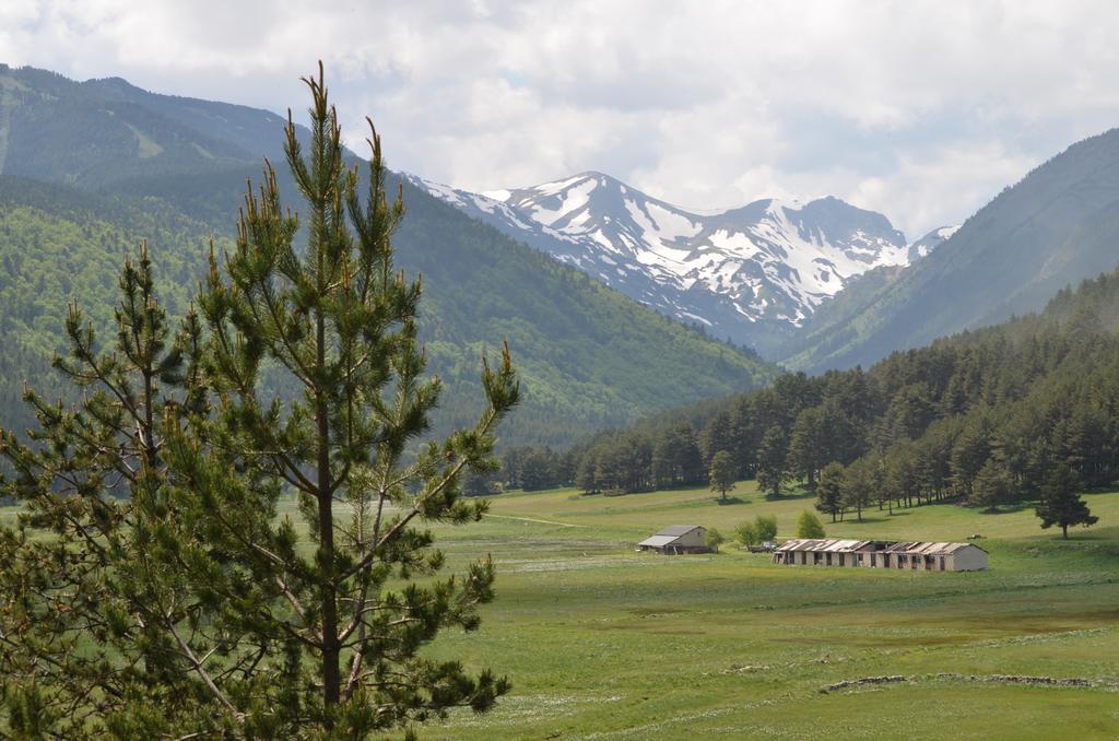 Residence Les Cimes Font-Romeu-Odeillo-Via Exterior photo